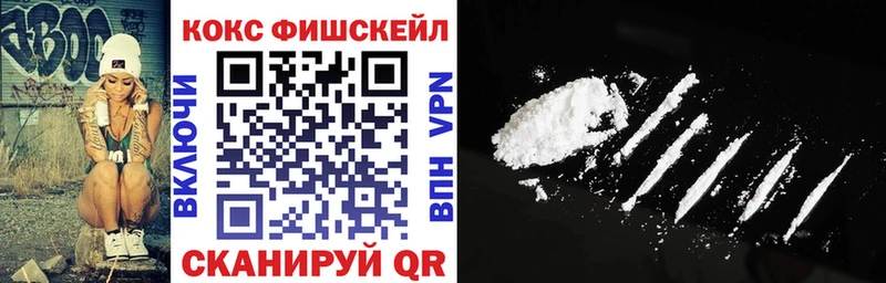 OMG маркетплейс  Вязники  Кокаин Fish Scale 