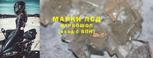 прущие грибы Беломорск