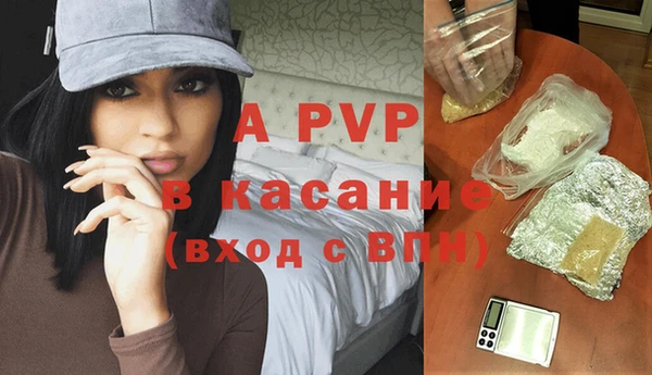 прущие грибы Беломорск