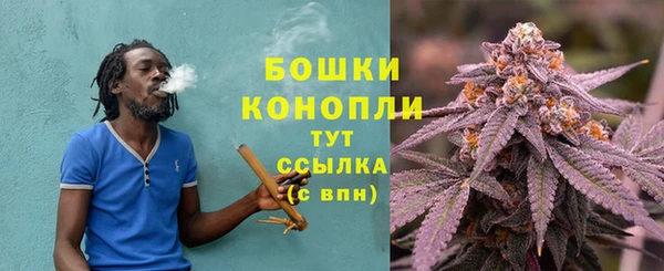 Альфа ПВП Богородицк