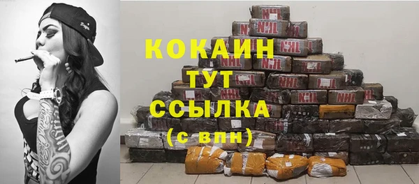 прущие грибы Беломорск