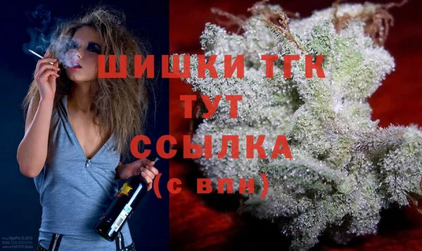 Альфа ПВП Богородицк