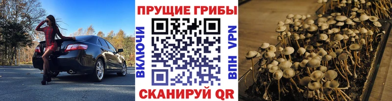 Галлюциногенные грибы мухоморы  хочу наркоту  Вязники 
