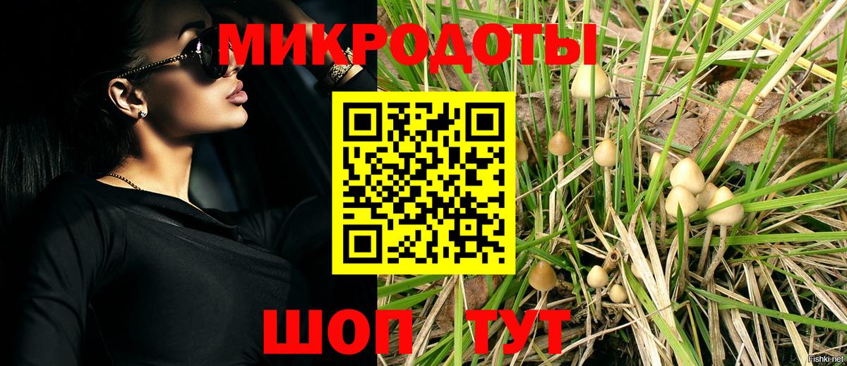 Псилоцибиновые грибы мицелий  Вязники 