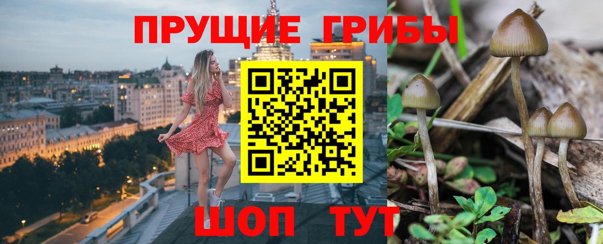 Галлюциногенные грибы GOLDEN TEACHER Вязники