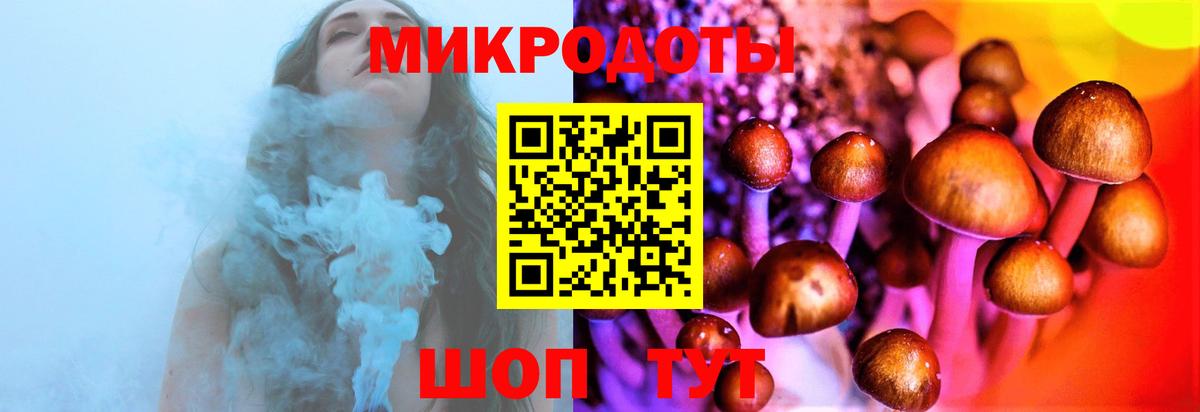 Галлюциногенные грибы мухоморы  Вход с VPN  Вязники 